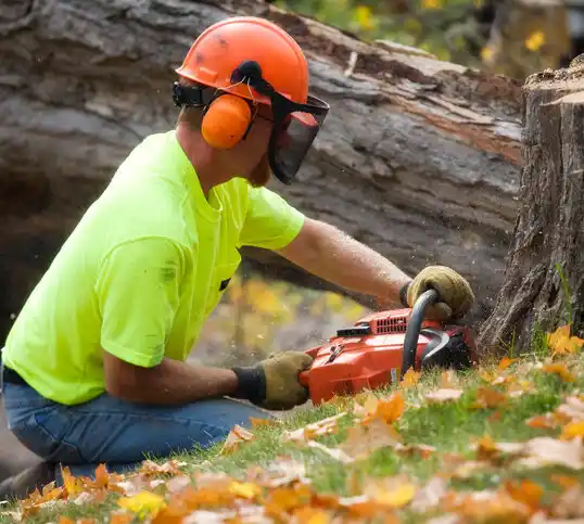 tree services Covington